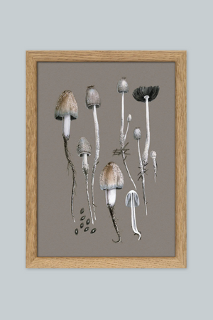 Fungi and Details - 15cm x 21cm (Click & Collect)