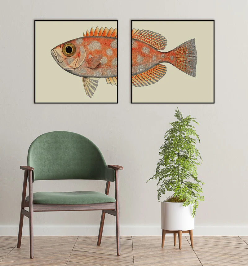 Spotted Orange Fish Head - 100cm x 100cm (Click & Collect)