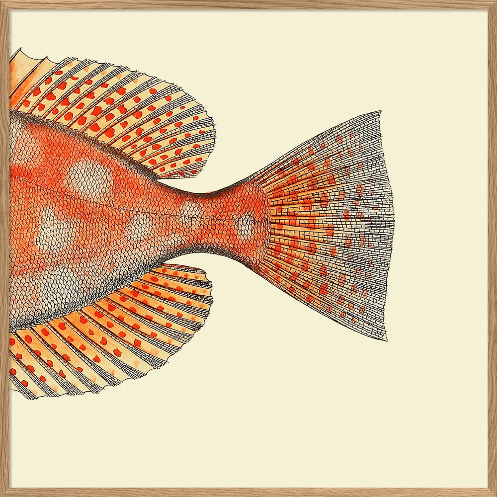 Spotted Orange Fish Tail - 100cm x 100cm (Click & Collect)