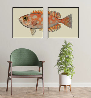 Spotted Orange Fish Tail - 100cm x 100cm (Click & Collect)