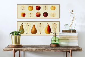 Apple - 35cm x 112cm - Oak Frame (Click & Collect)